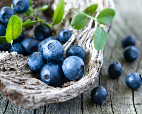 BLUEBERRIES: Benefits, Properties and Contraindications
