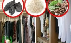 IMAGEN DE COMO SE QUITA EL MOHO DE LA ROPA / how to remove mold from clothes image