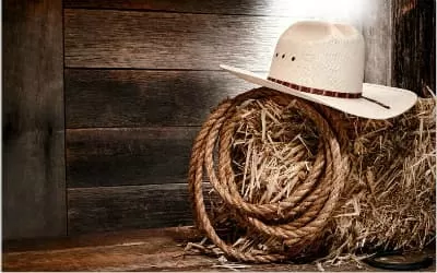 COWBOYS ACCESSORIES: Styles for Men and Women