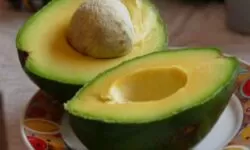 IMAGEN DE AGUACATE / AVOCADO IMAGE
