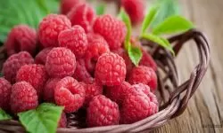 IMAGEN DE FRAMBUESA / RASPBERRY IMAGE