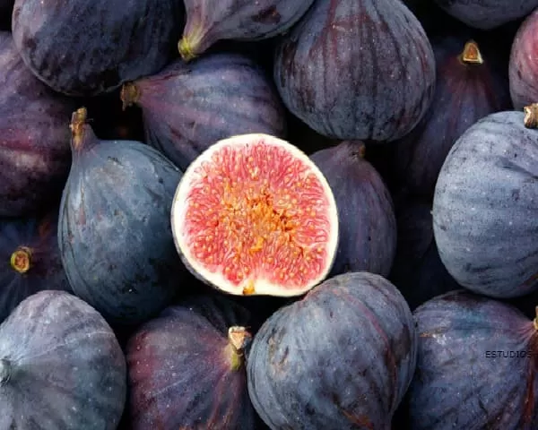 FIG: Benefits, Types and Properties