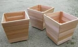 IMAGEN DE MACETA DE MADERA / WOODEN PLANTER IMAGE