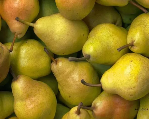 PEAR: Properties, Benefits and Types. Astringent or Depurative ?