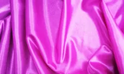 IMAGENES DE FUCSIA / FUCHSIA COLOR IMAGE