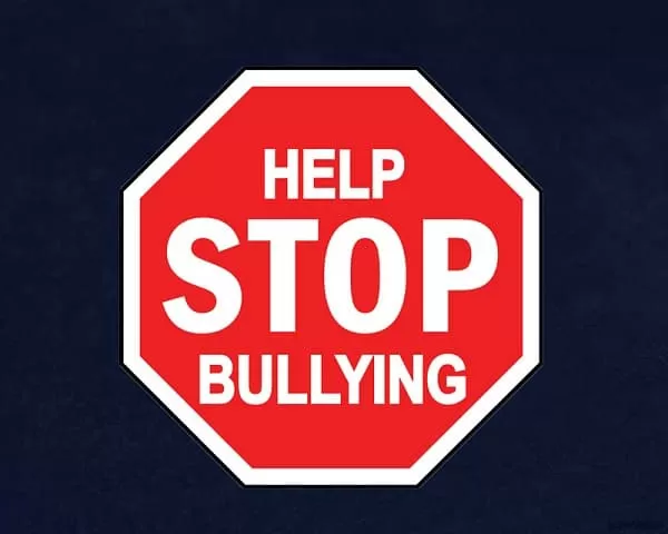 WHAT IS BULLYING ?