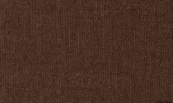 IMAGEN DEL COLOR MARRON / BROWN COLOR IMAGE