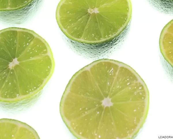 LIME COLOR: Meaning and Psychology. Types and Combinations