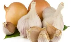 IMAGEN DEL AJO / GARLIC IMAGE