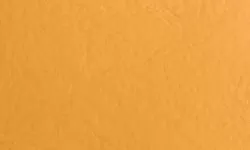 IMAGEN DEL COLOR CAMEL / CAMEL COLOUR IMAGE