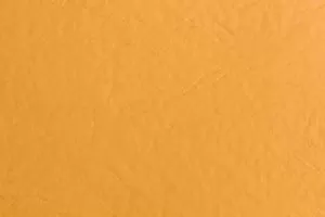 IMAGEN DEL COLOR CAMEL / CAMEL COLOUR IMAGE